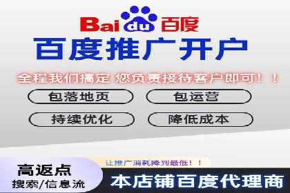 成功案例：百度推广代理助力电商突破